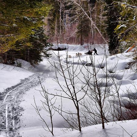 Gite Aux Jardins De L'Anse Perce Dış mekan fotoğraf