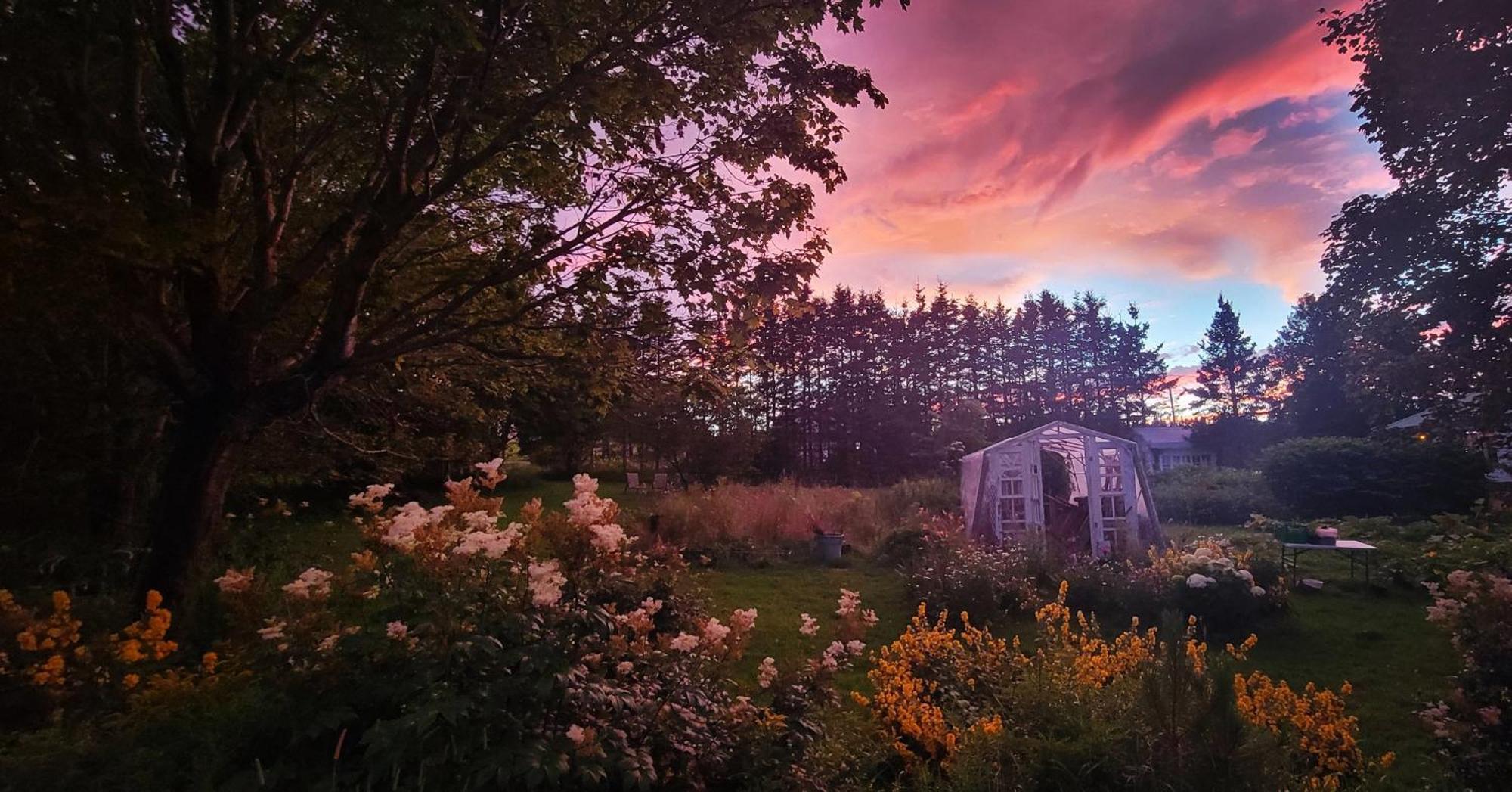 Gite Aux Jardins De L'Anse Perce Dış mekan fotoğraf