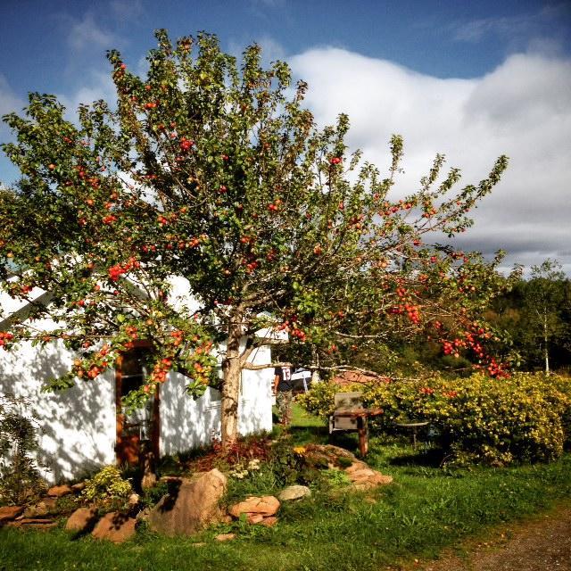 Gite Aux Jardins De L'Anse Perce Dış mekan fotoğraf