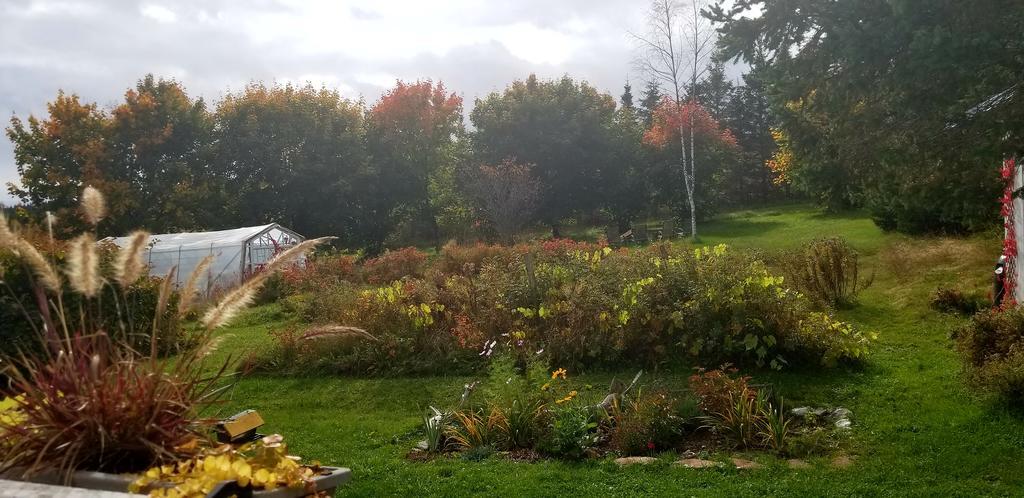 Gite Aux Jardins De L'Anse Perce Dış mekan fotoğraf